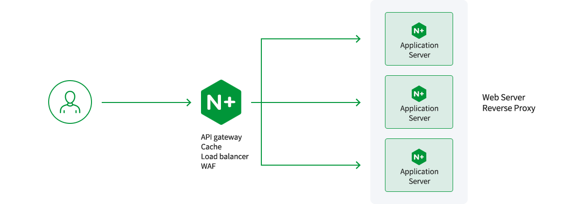 F5 NGINX Plus