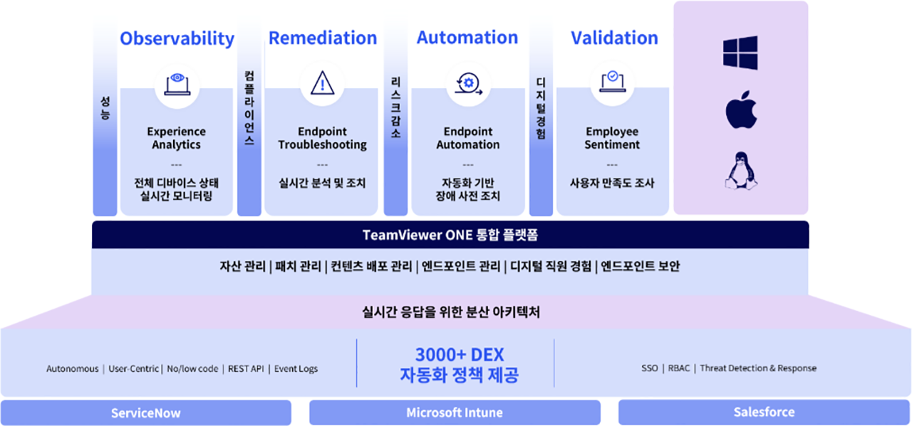 TeamViewer DEX